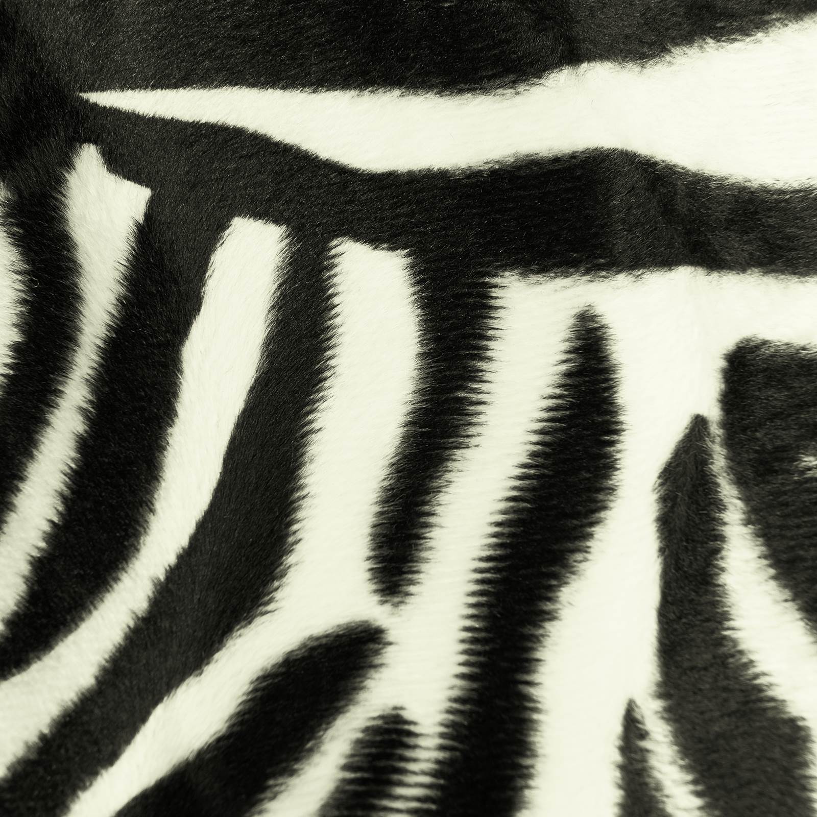 Zebra Pelliccia intrecciata zebrata (passi da 10 cm)